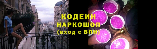СК Арсеньев