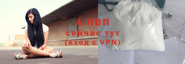 СК Арсеньев