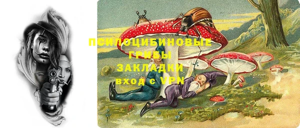СК Арсеньев