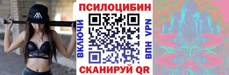 где можно купить   Петровск-Забайкальский  omg как зайти  Галлюциногенные грибы GOLDEN TEACHER 